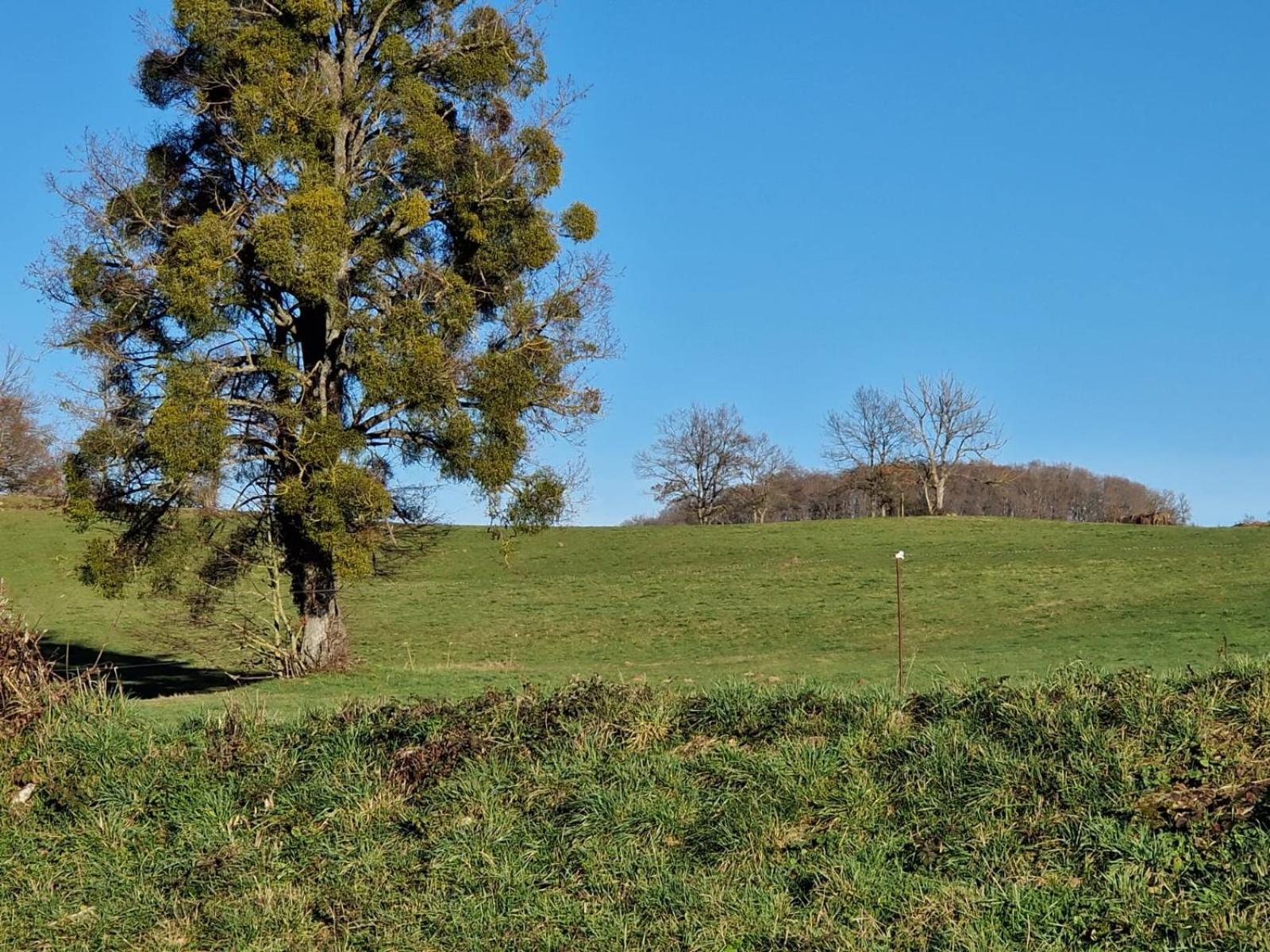 La Campagne Villa Dontreix Bagian luar foto